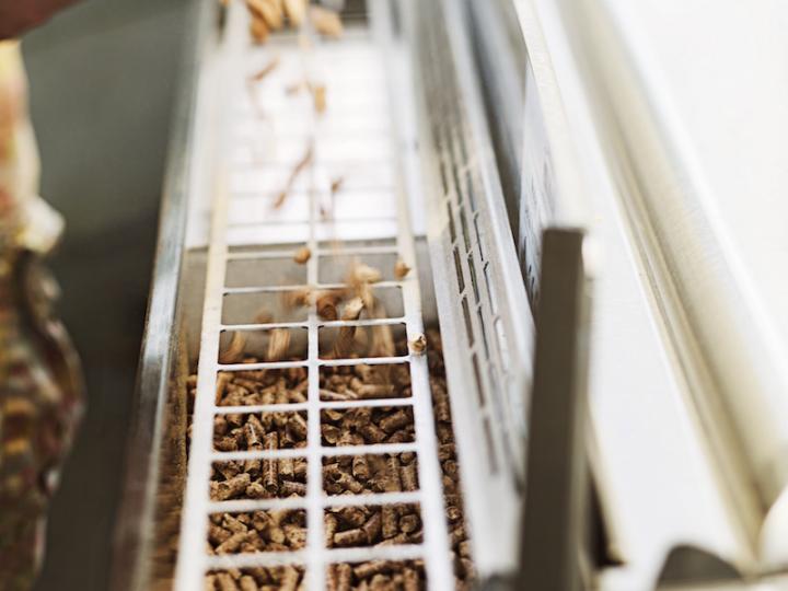 Pellet Grills